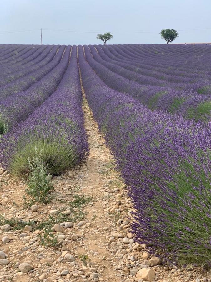 Studio Nuitee En Provence 2 Éguilles Buitenkant foto